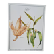 Corn botanical poster