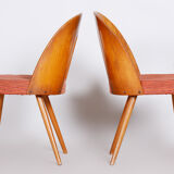 Pair of Mid Century chairs made in 1950s Czechia, designed by Antonín Šuman
