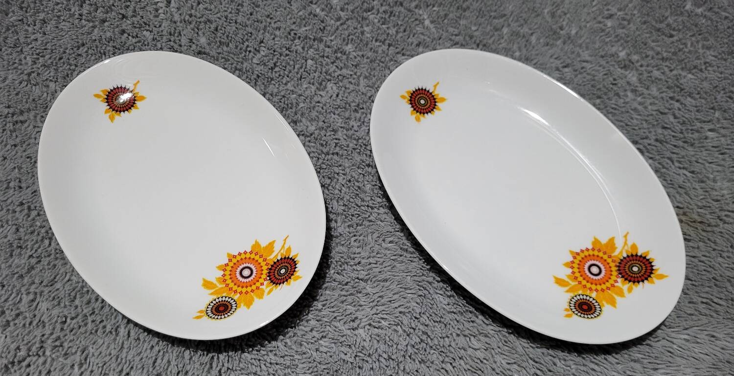 Bavaria porcelain coffee/tea tableware set