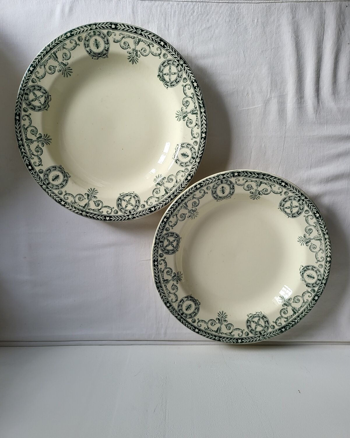 11 Deep Plates Ironstone Salins Cambacérès Decor