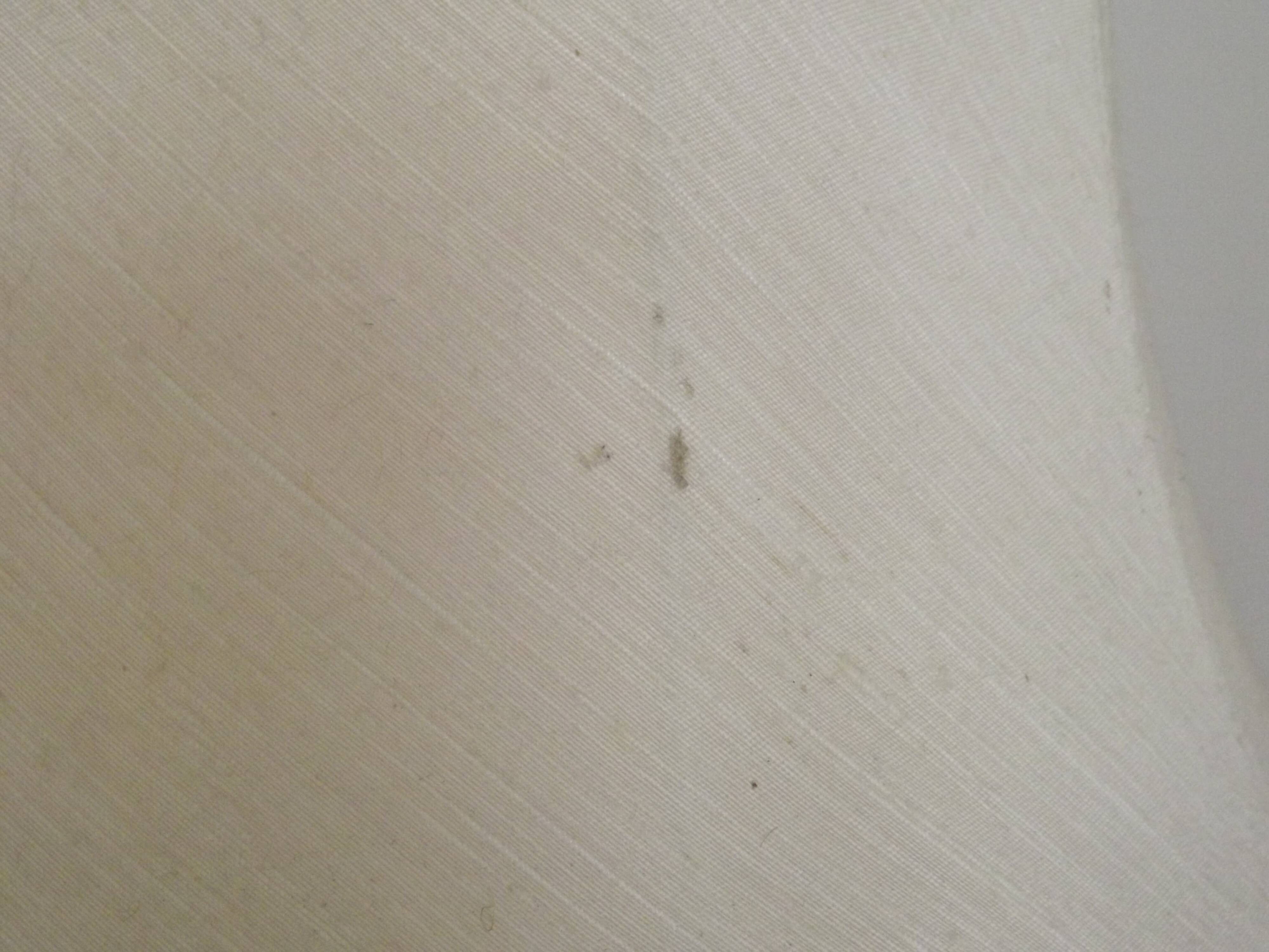 Table lamp with wooden base and fringed shade