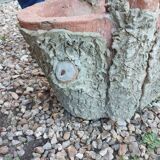 Medici stone planter with tree trunk decor