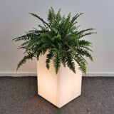 Plexiglas floor lamp & planter
