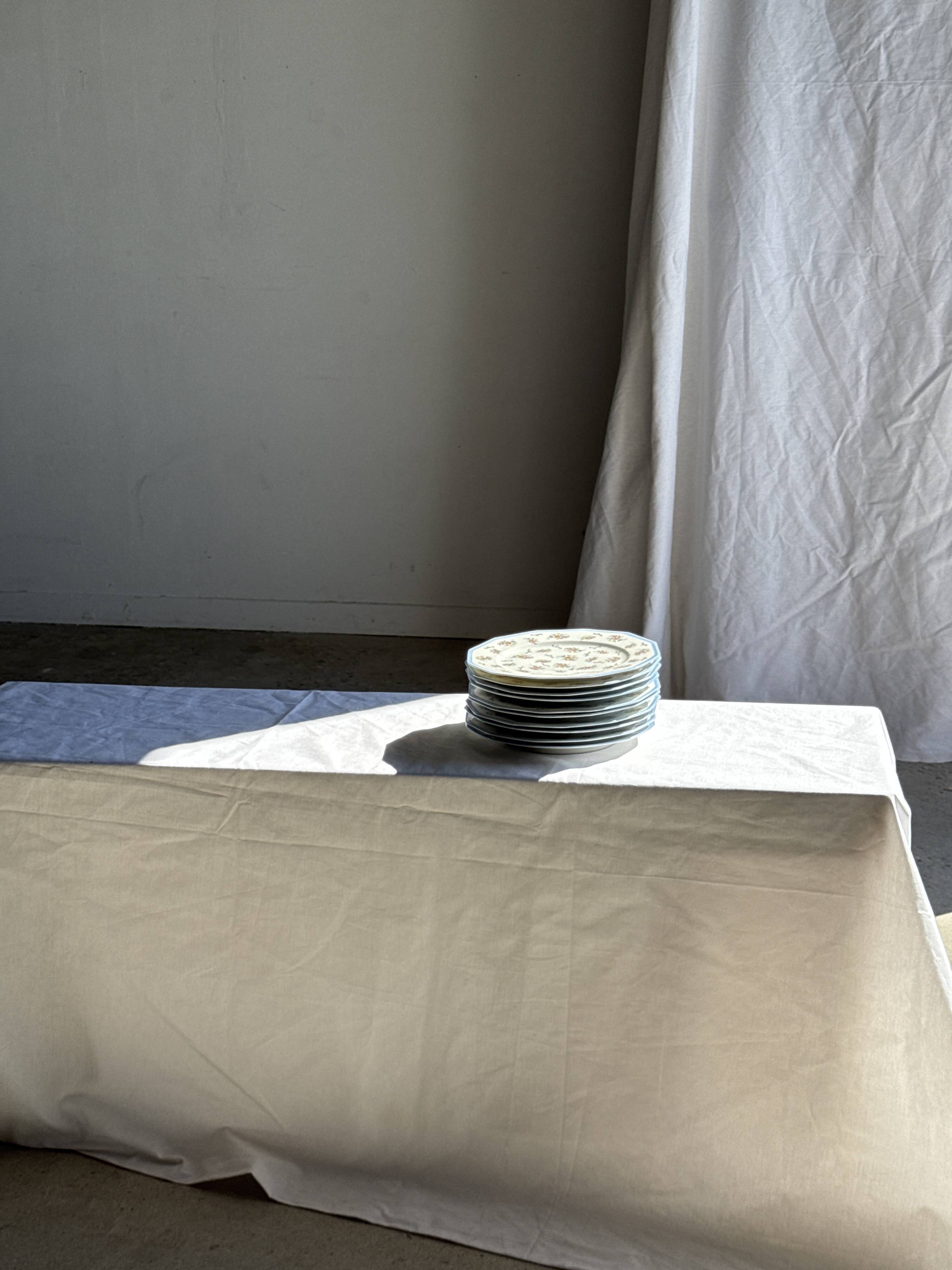 Set of 10 flat plates in Limoges porcelain from France with flowers.
