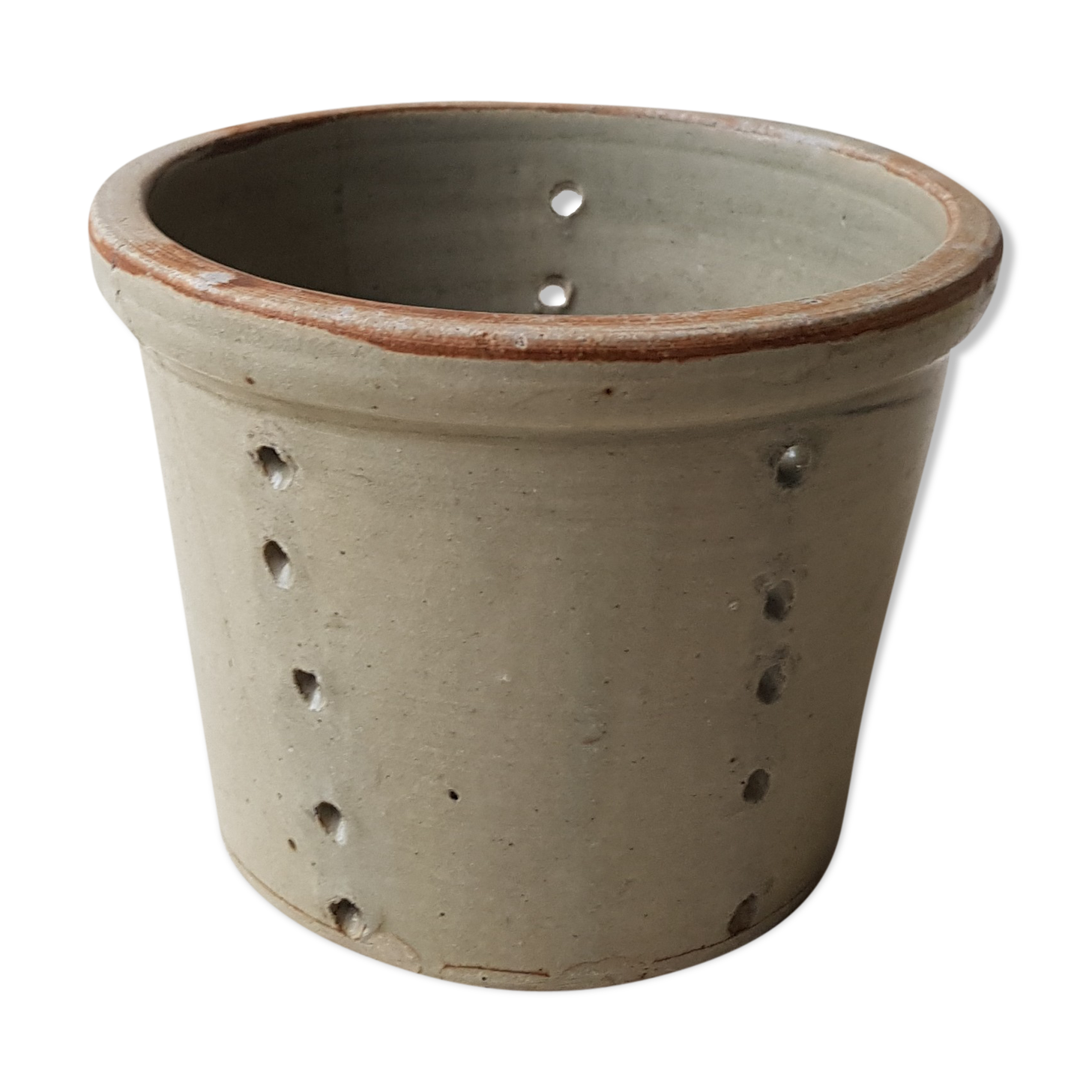 Pot with pheasant in earth