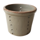 Pot with pheasant in earth