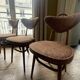 6 chaises par HJ Kurmanowicz, Pologne vers 1950