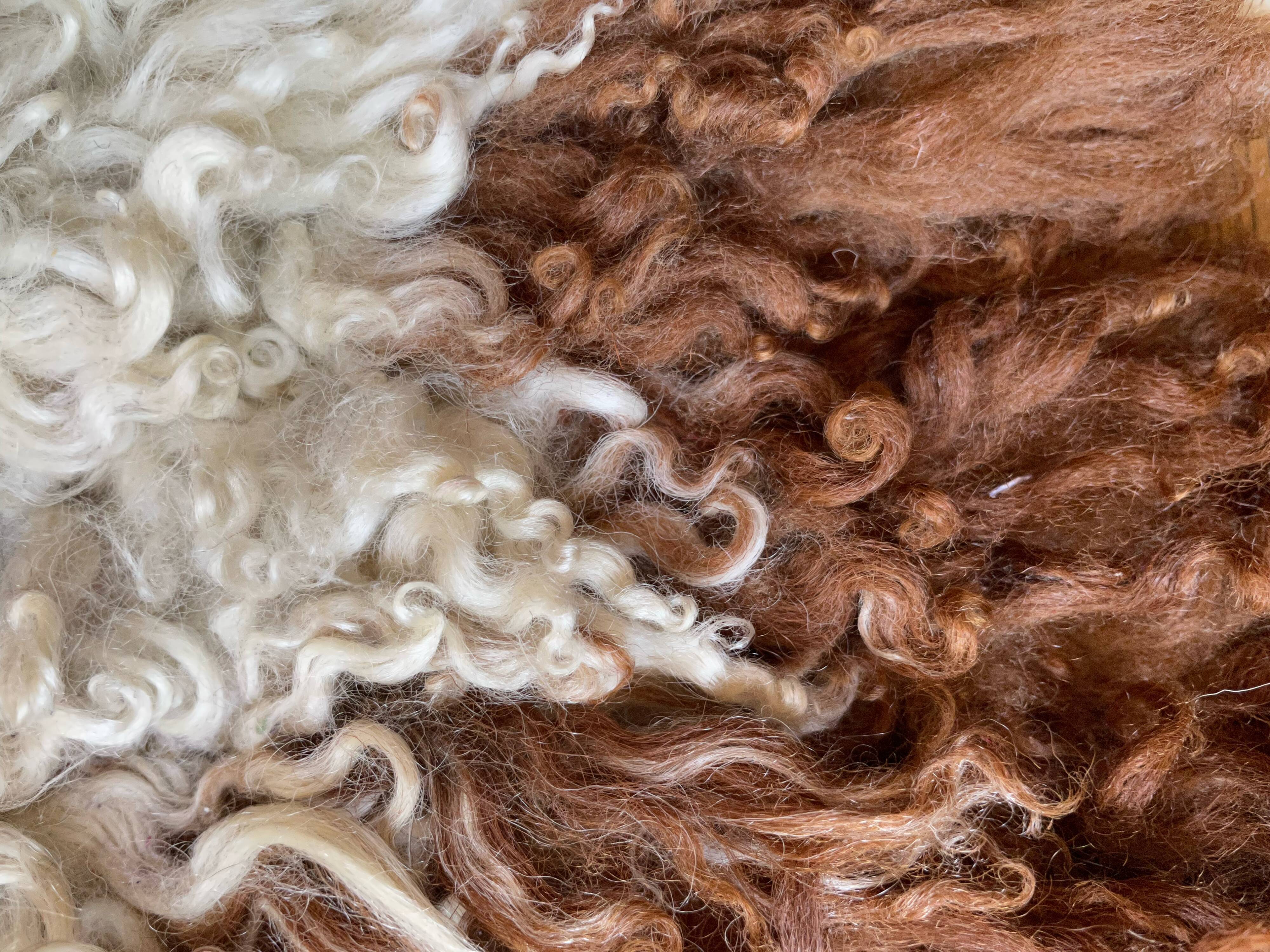 Small sheepskin, raw, brown and beige, authentic