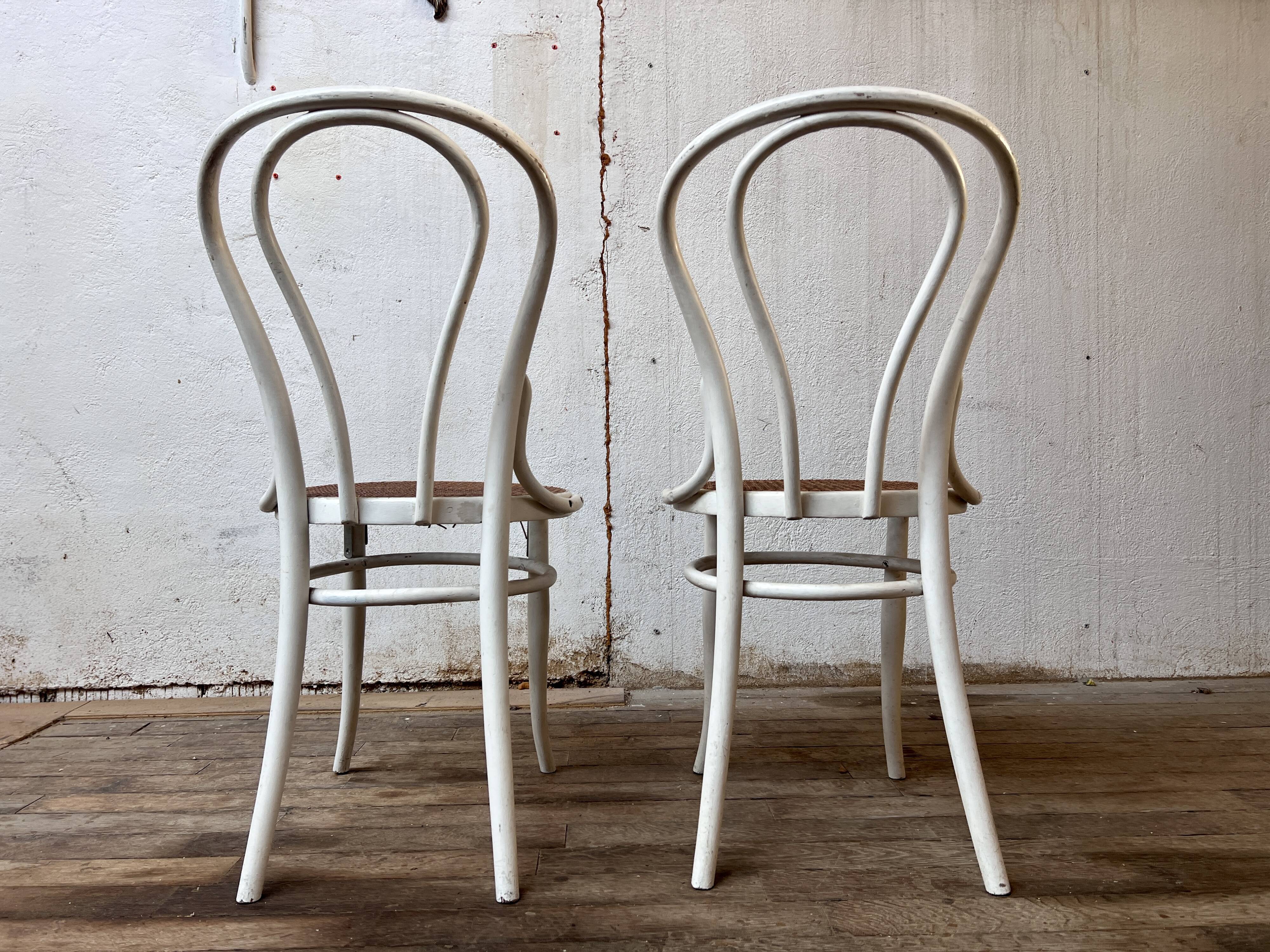 Pair of 2 bistro chairs in white bentwood and canework Jacob Josef Kohn