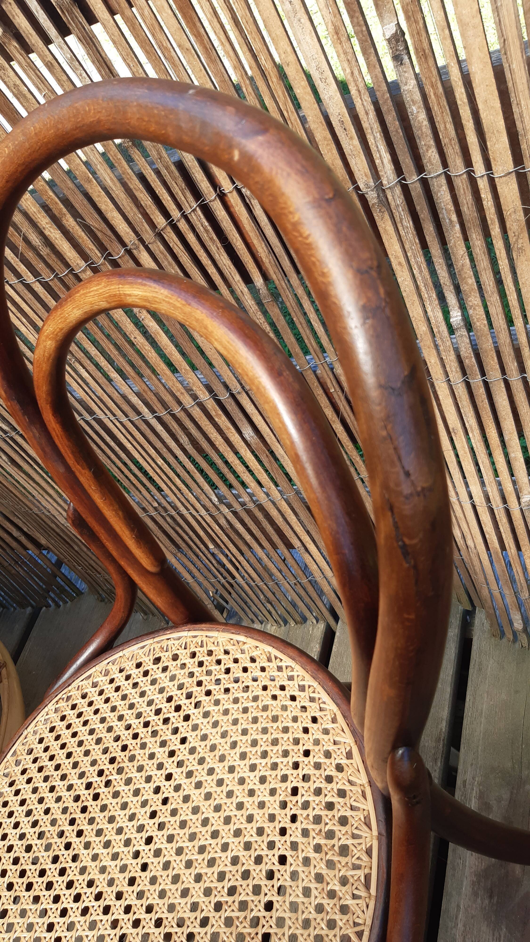 Bistro chairs Thonet n°18