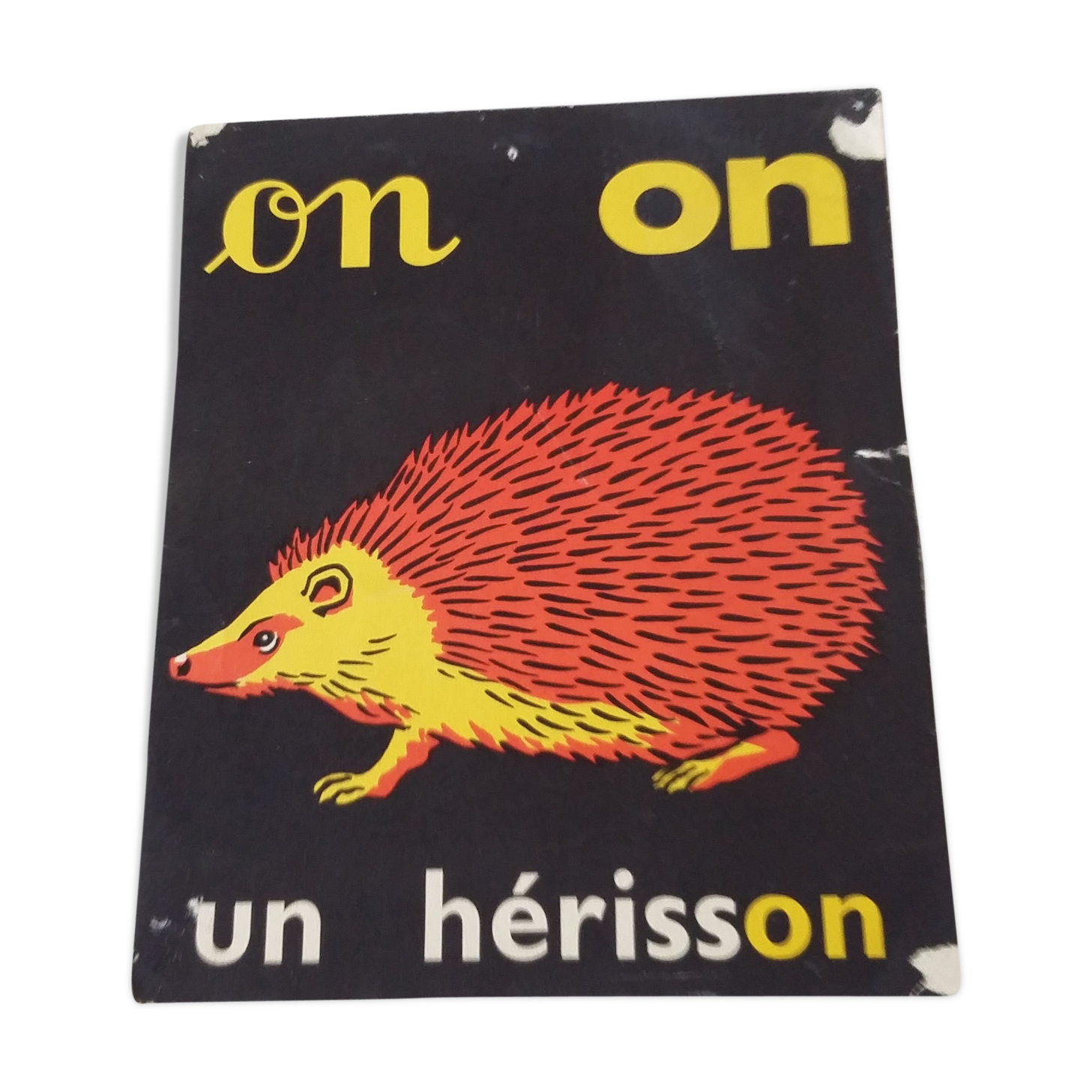 The hedgehog, reading image