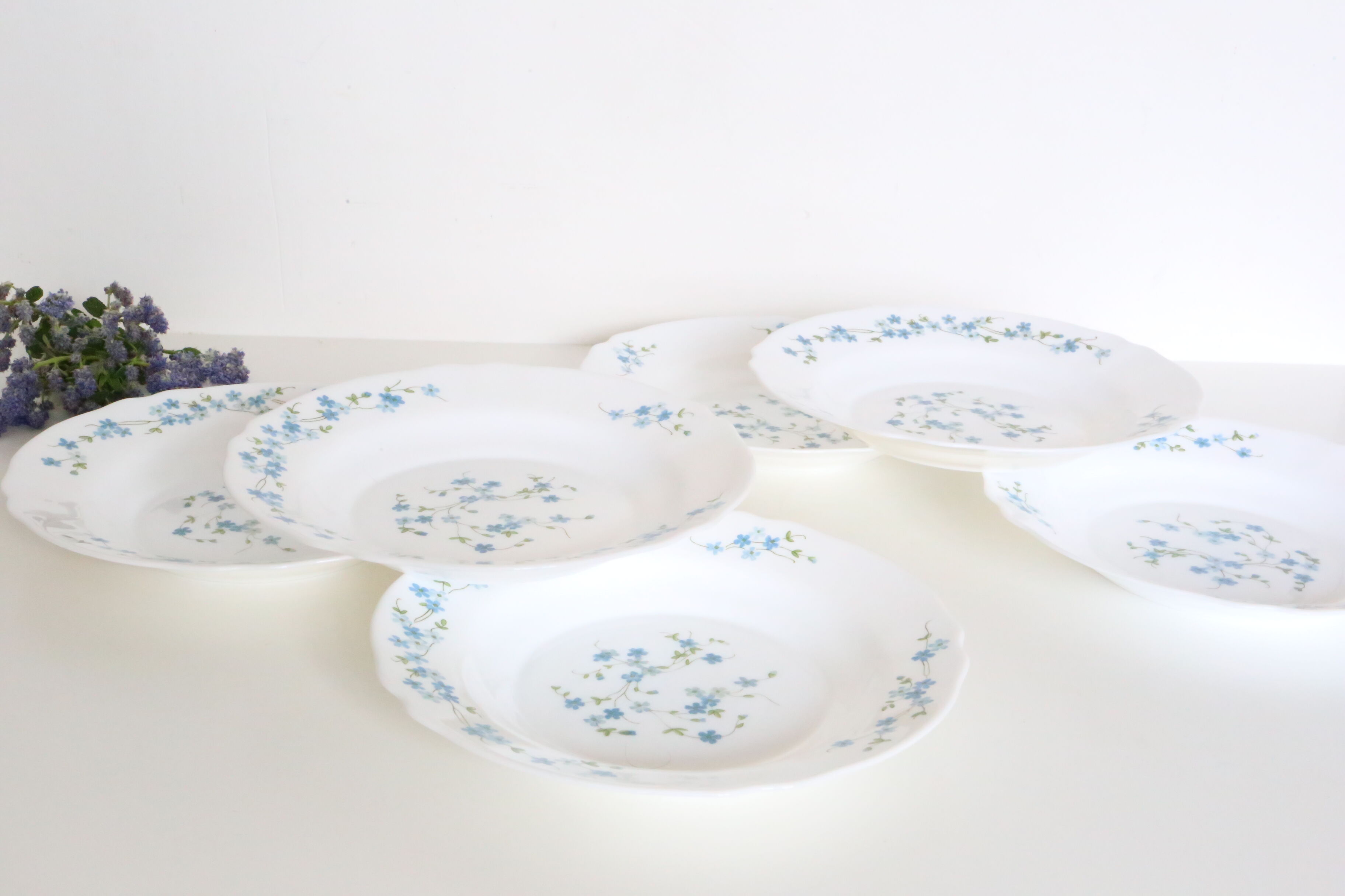 Set of 6 hollow plates Arcopal pattern Veronica