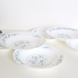 Set of 6 hollow plates Arcopal pattern Veronica
