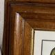 Framed botanical print, Atropa Belladonna