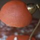 Similar ads Vintage desk lamp (60s/70s).
