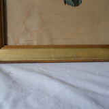 Bird frame