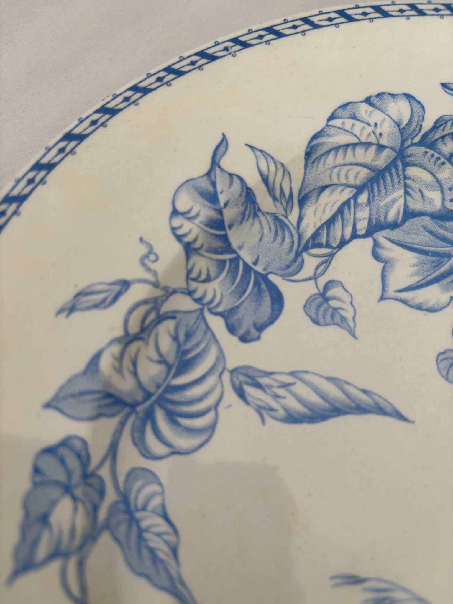 Assiette plate ancienne terre de fer bleu clair HB choisy le roi modèl