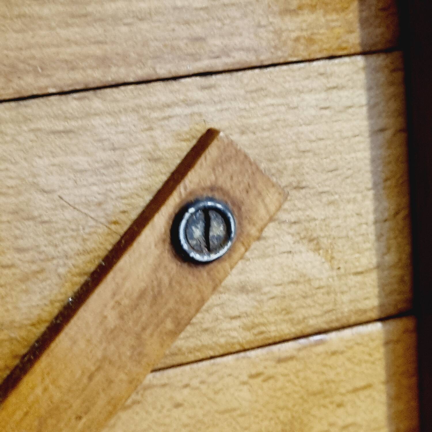 Oak worker with compass feet
