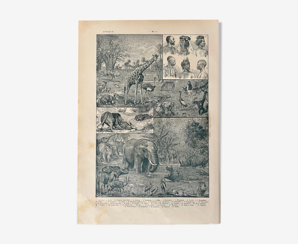 Lithographie sur l'Afrique de 1922