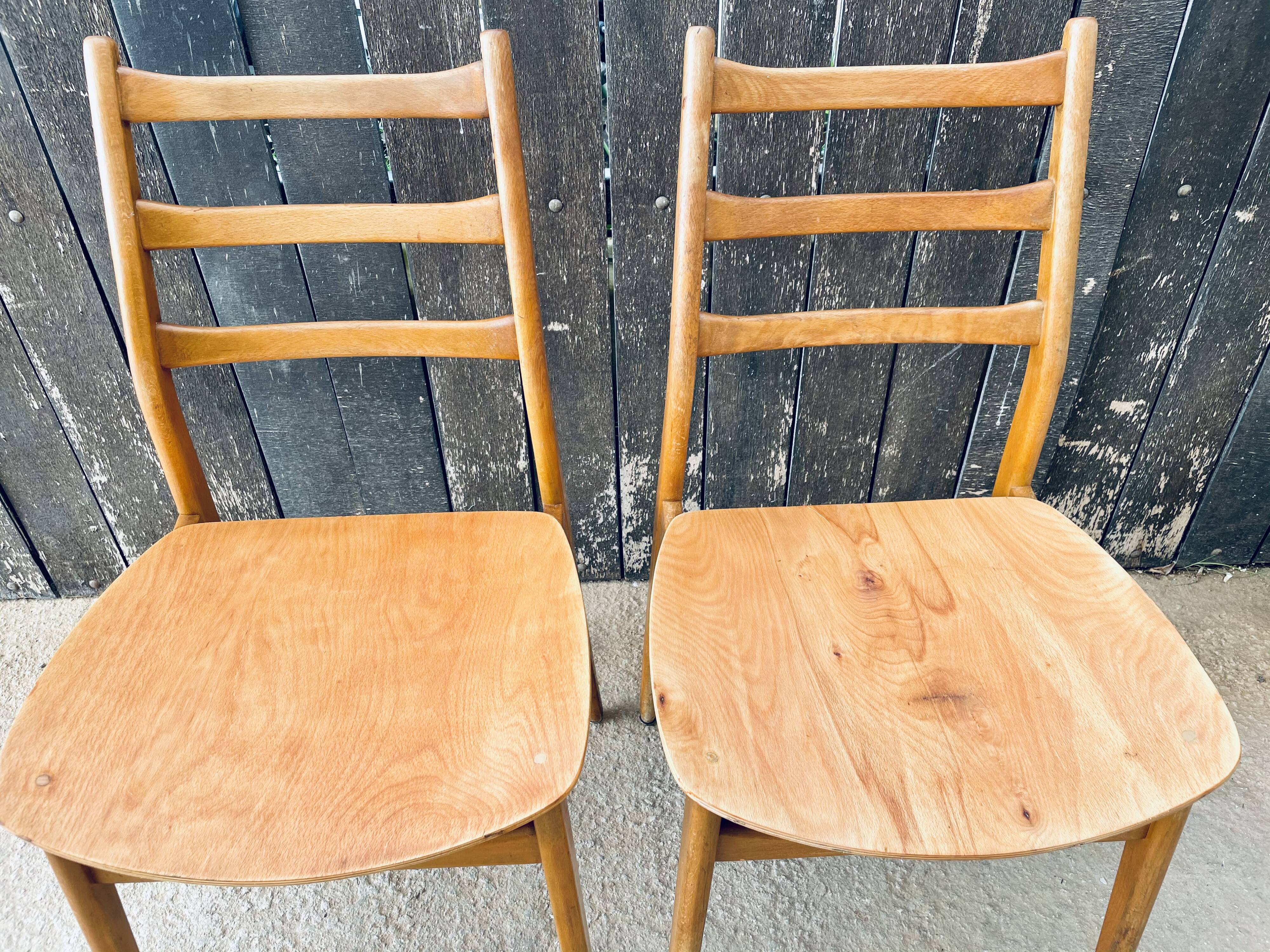 Pair of Chairs Casala Modell
