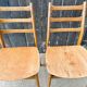 Pair of Chairs Casala Modell