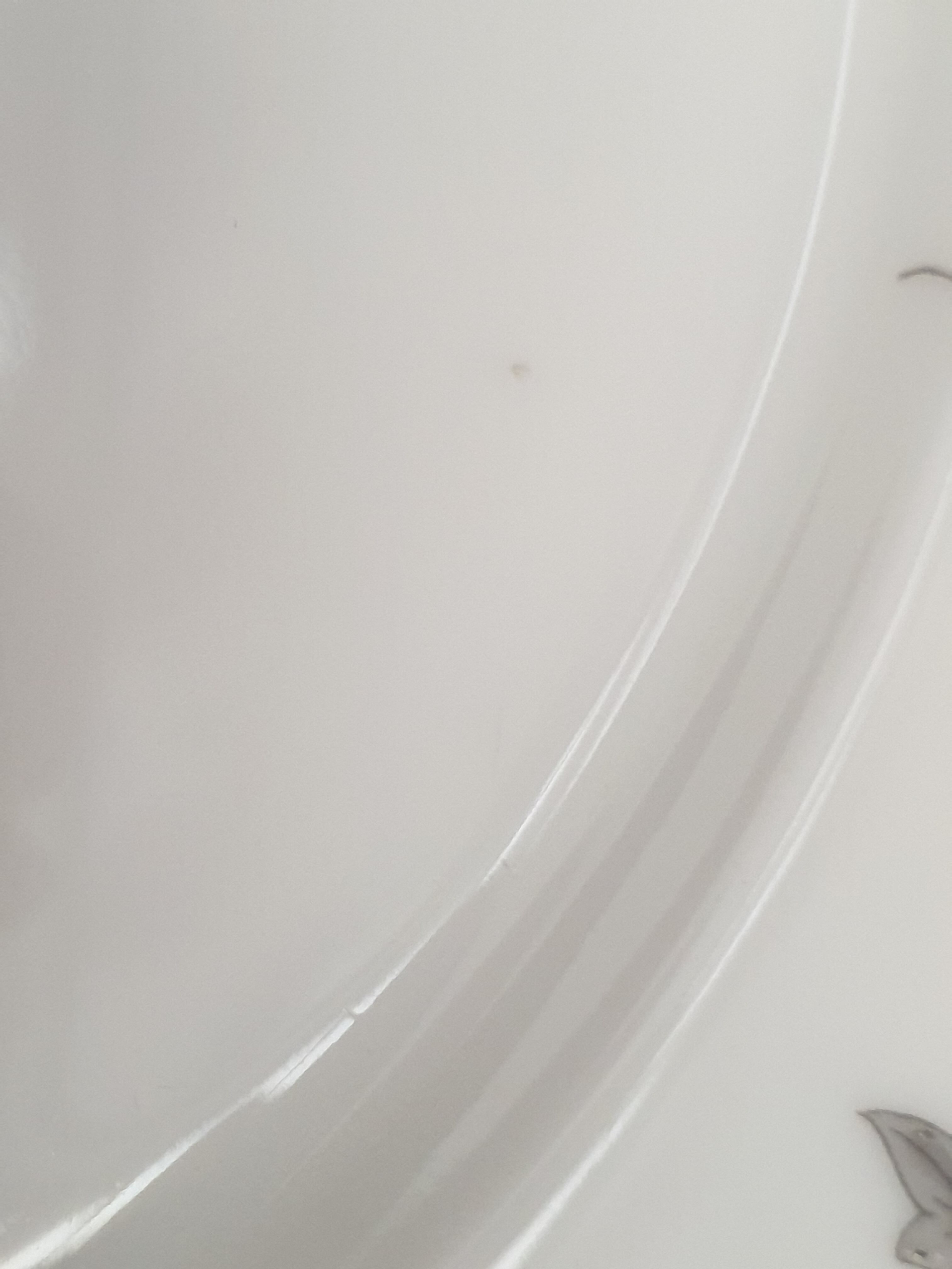 Two antique porcelain plates from Paris The crystal staircase