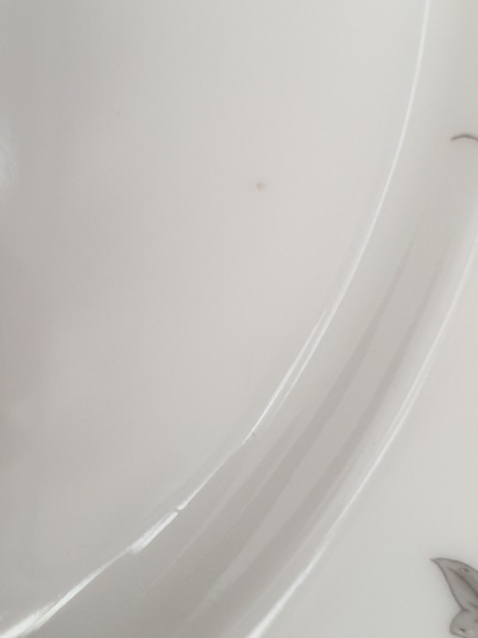 Two antique porcelain plates from Paris The crystal staircase