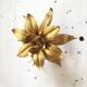 Old wall light flowered
