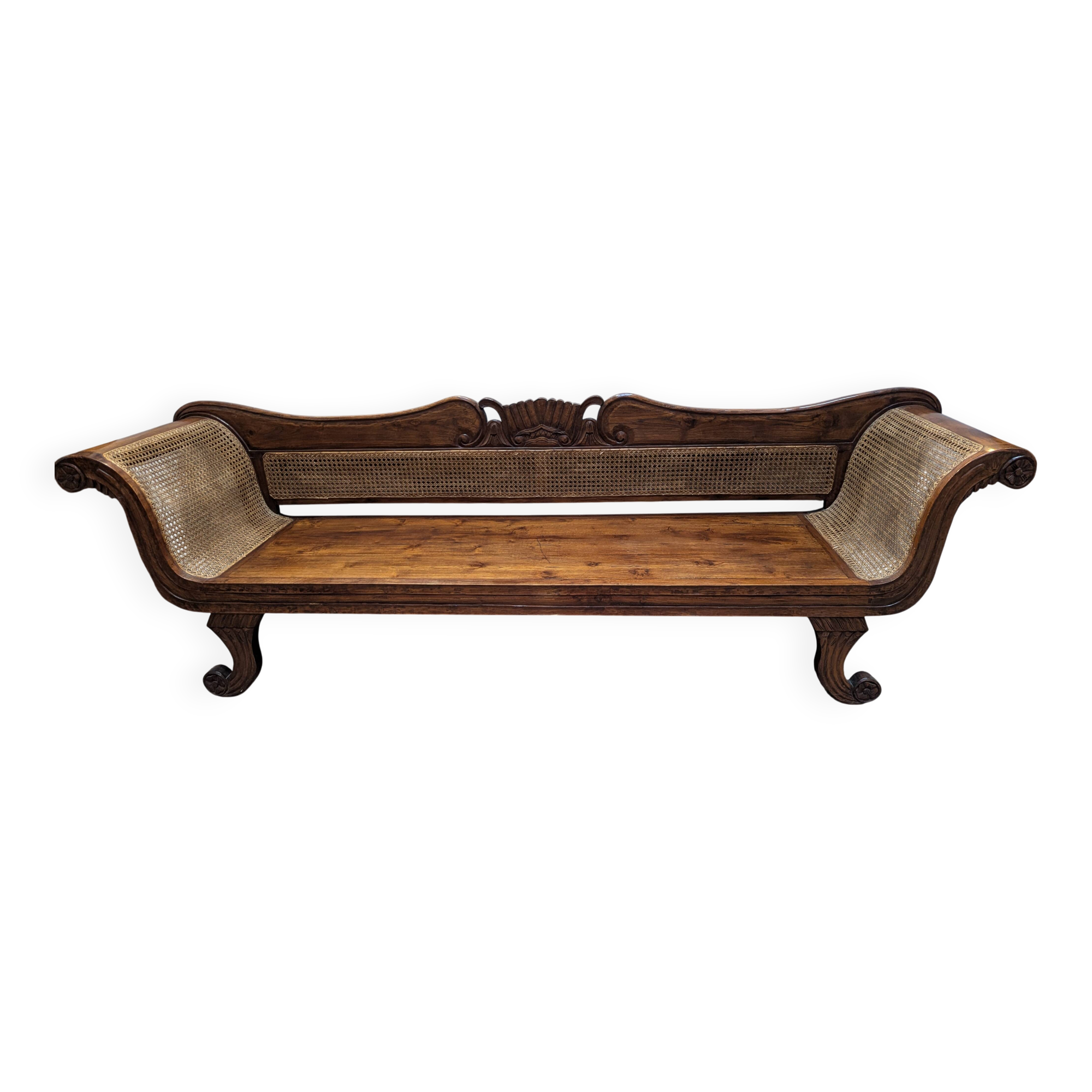 Very large colonial bans