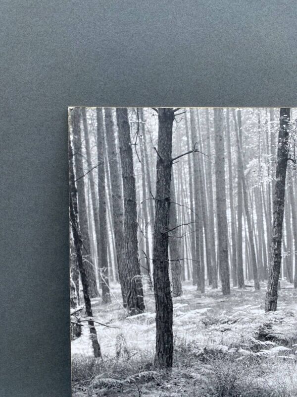 Photographie argentique Bernard Darot Fougères II Club Nantais AFIAP