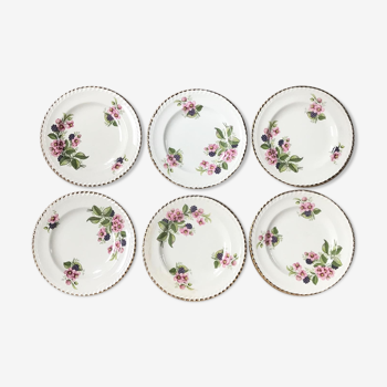 Lot de 6 assiettes en faïence anglaise