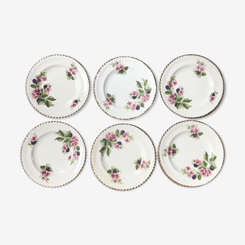 Set of 6 plates in English earthenware