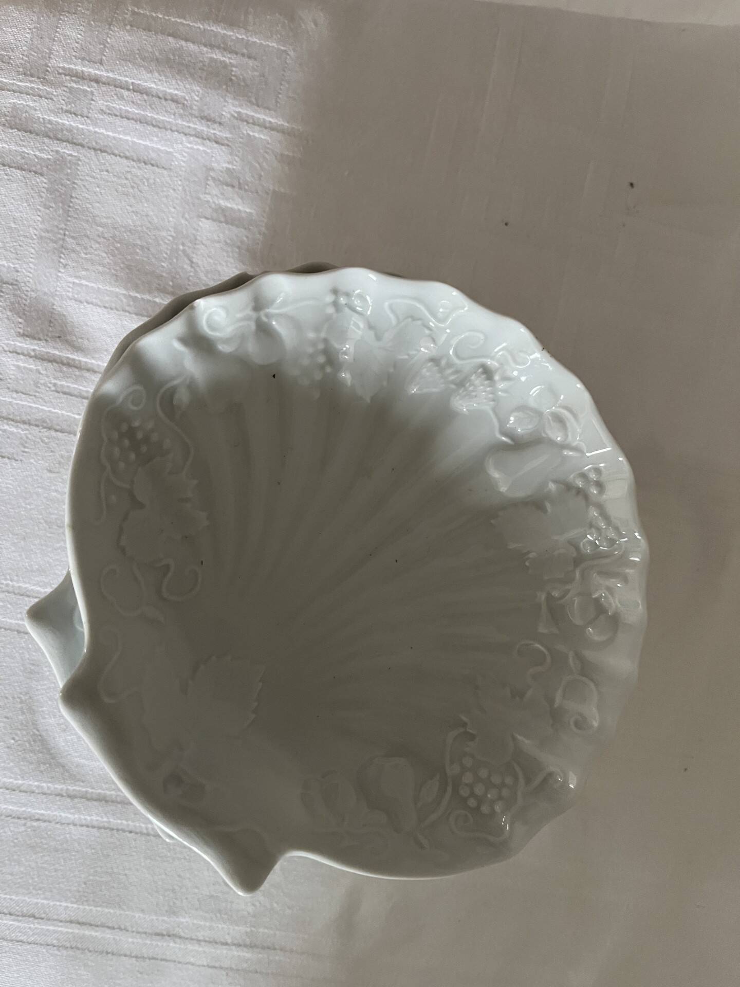 Scallop shell dish