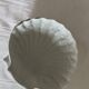 Scallop shell dish