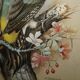 Ornithological watercolour painting signed M Shermorne kingfisher.