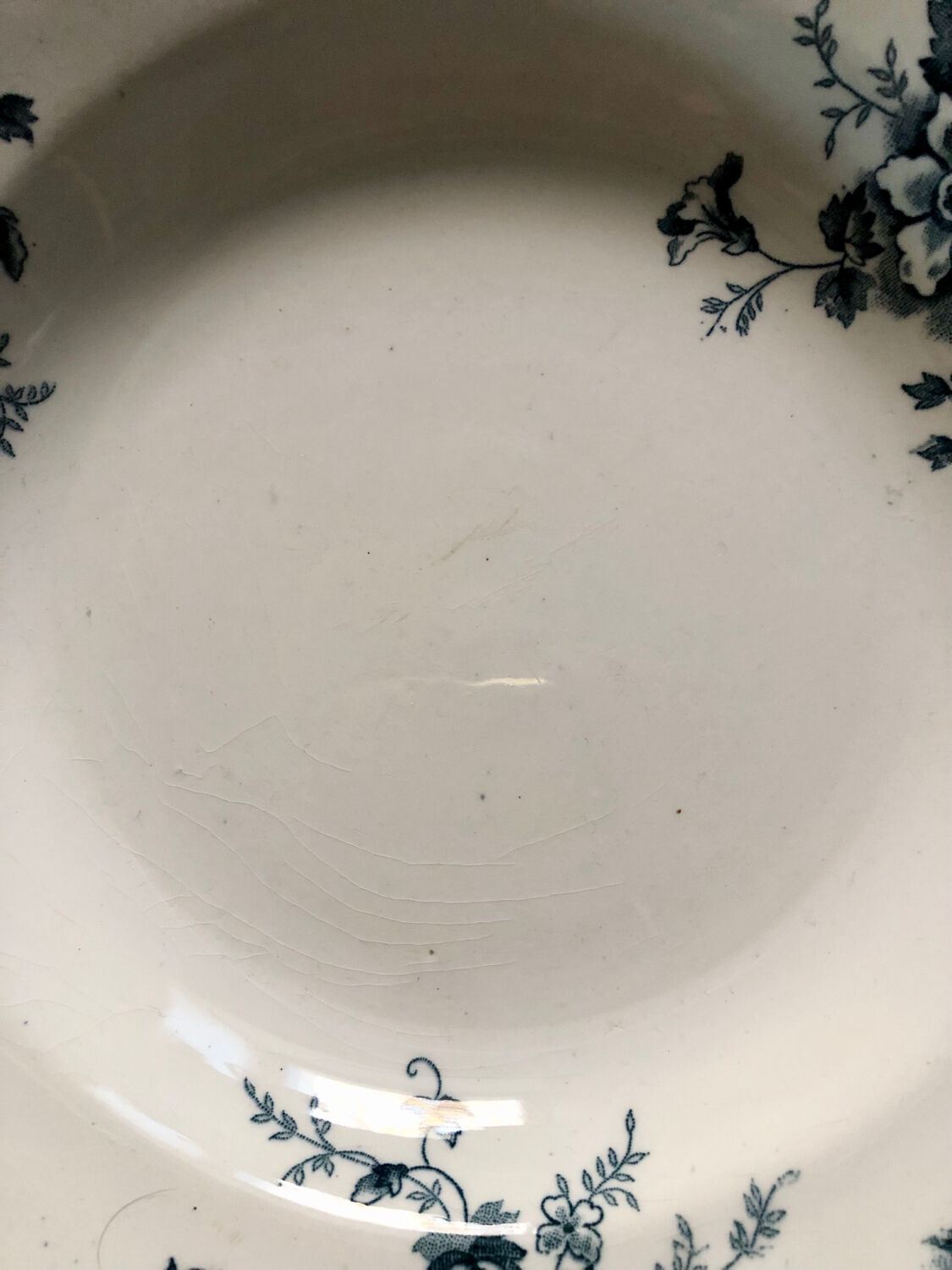 Deep ironstone plate from Saint Amand and Hamage