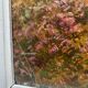 During HSP Paintings: “Landscape of Dauphiné” by Gaétan Montagney