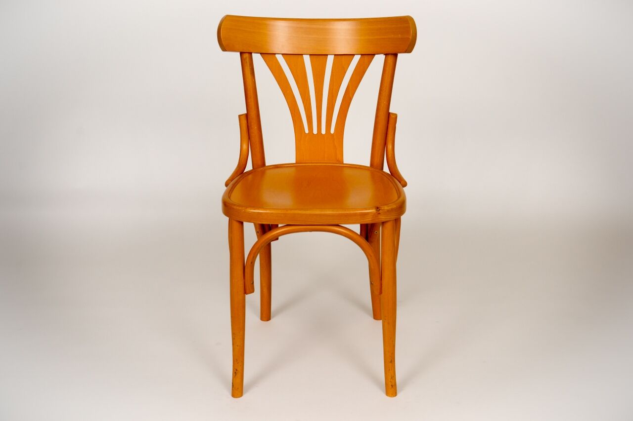 Bistro chair palm tree backrest, natural beech varnished