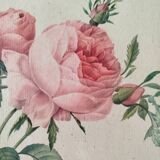 Lithograph Redouté rosa centifolia foliacea