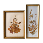 Paire d'herbier, fleurs, papillon