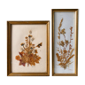 Pair of herbarium, flowers, butterfly