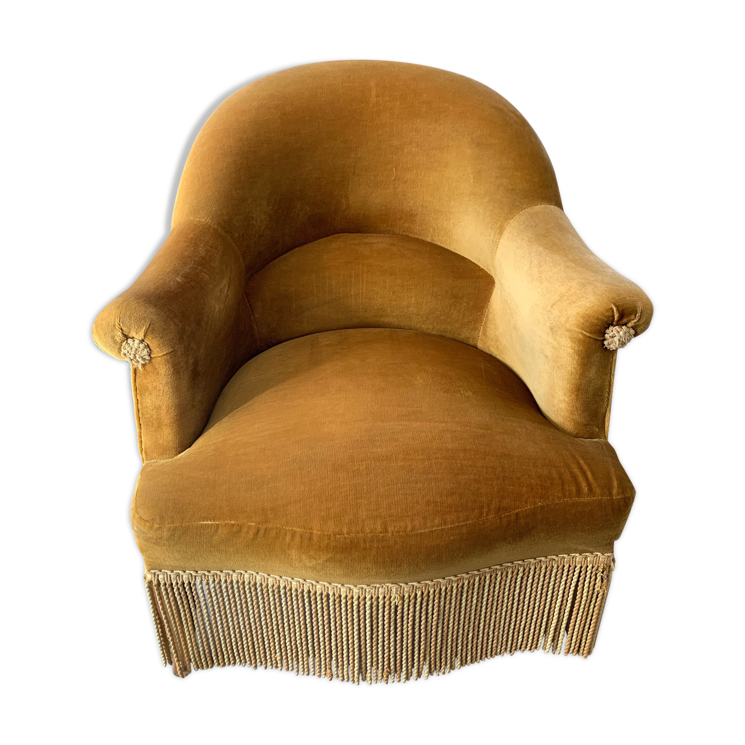 Old velvet toad old gold