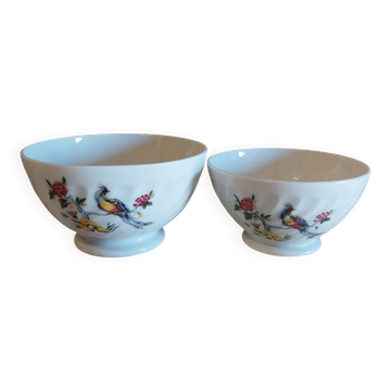 Bowl faceted Sarreguemines