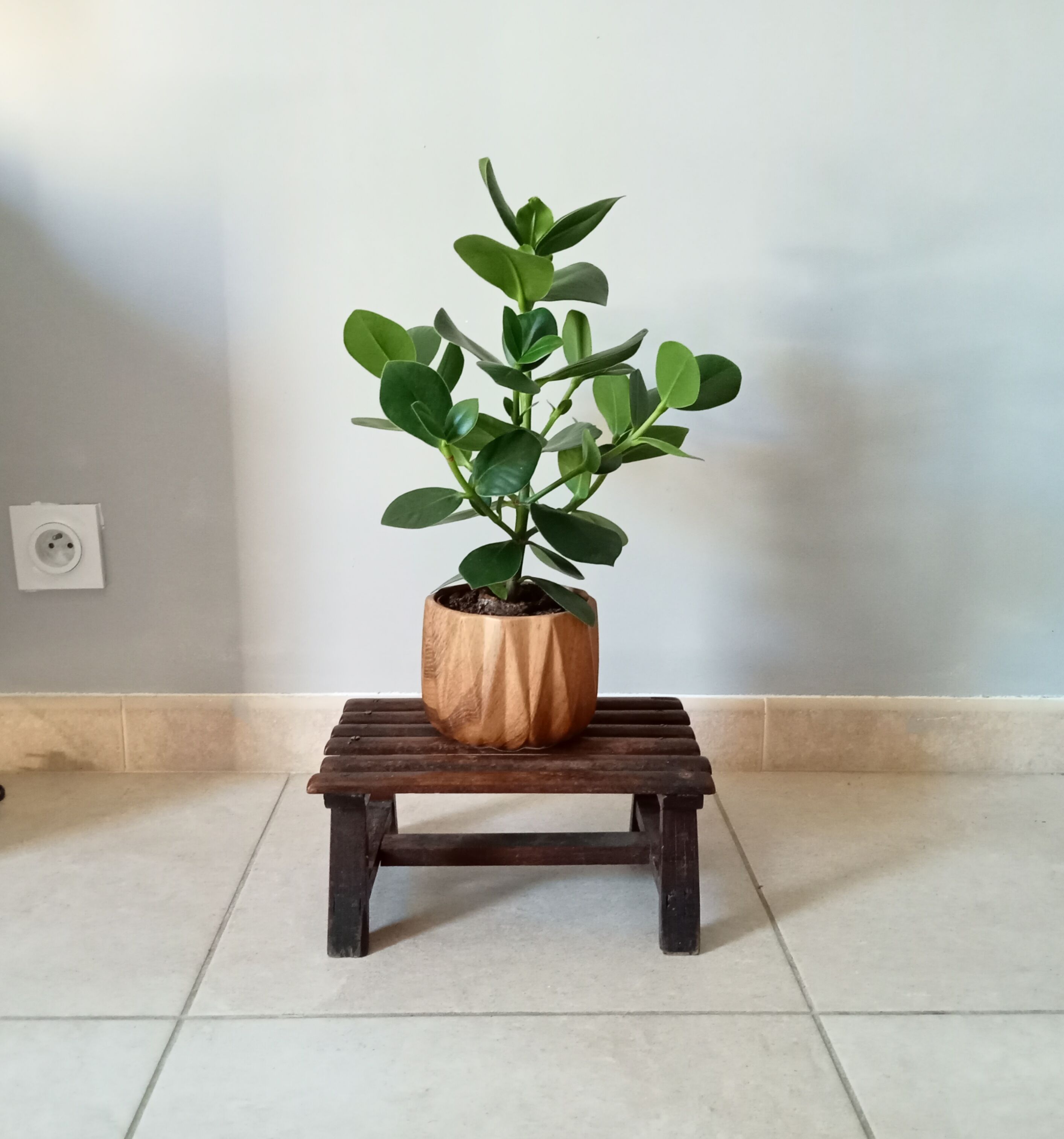 Vintage plant carry stool