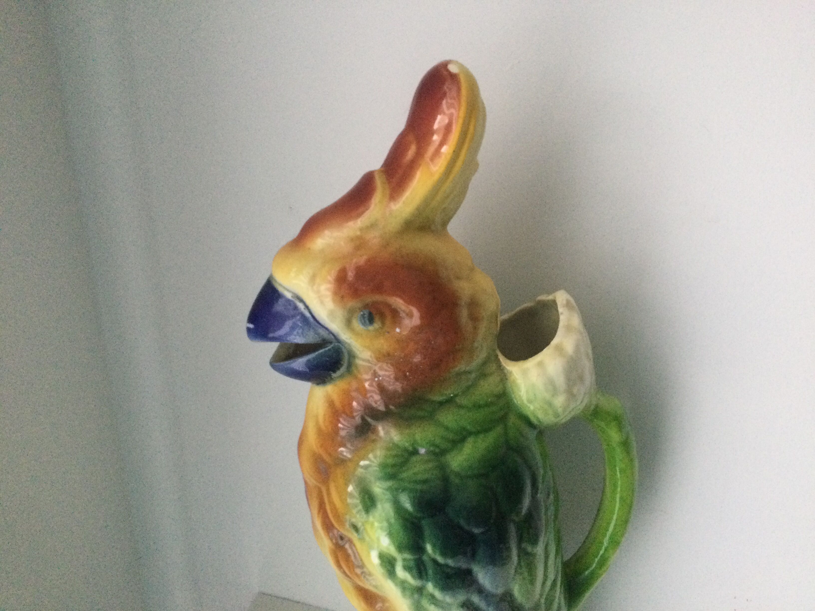 Parrot pitcher in Slip