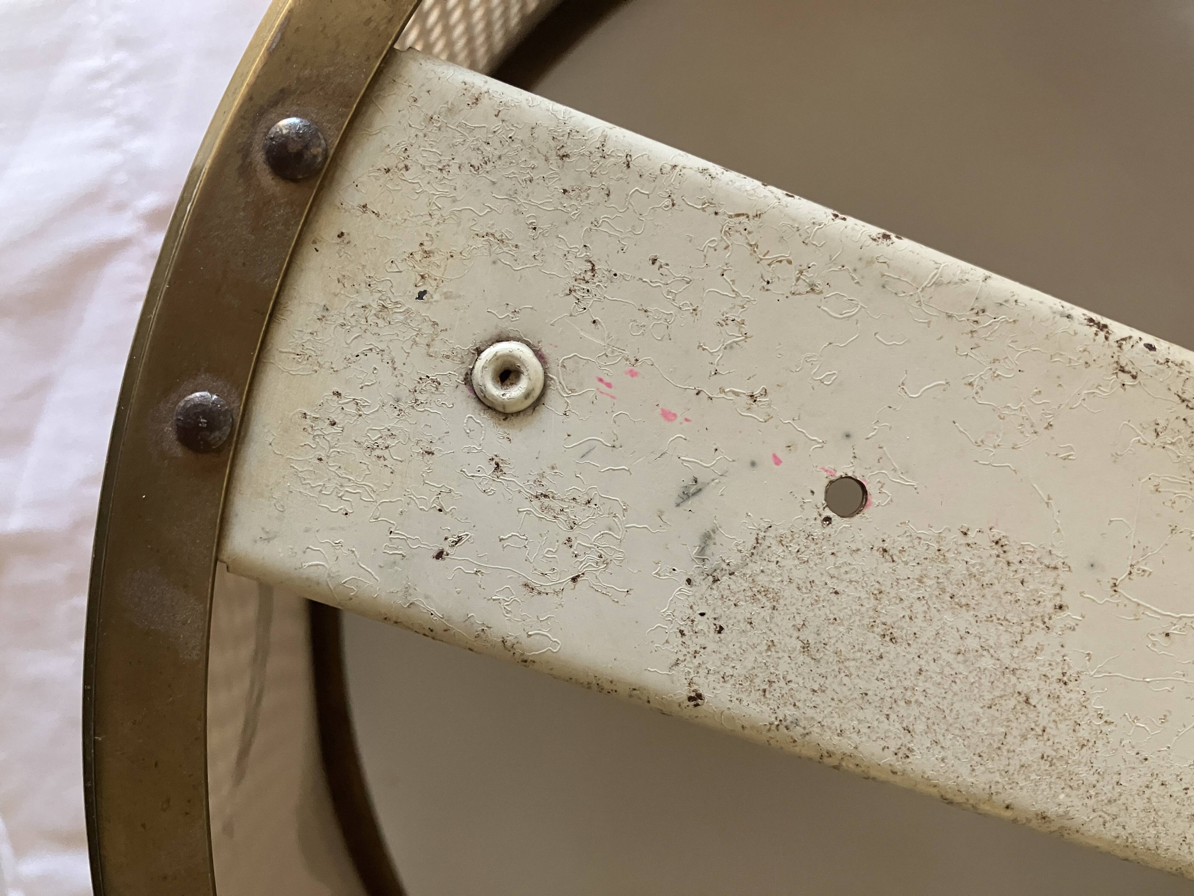 Lunel ceiling light, perforated metal and frosted glass from the 1950s.