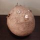 Taxidermie poisson lune