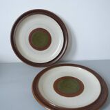 Series of 12 large plates of vintage sandstone DENBY made in Engand
