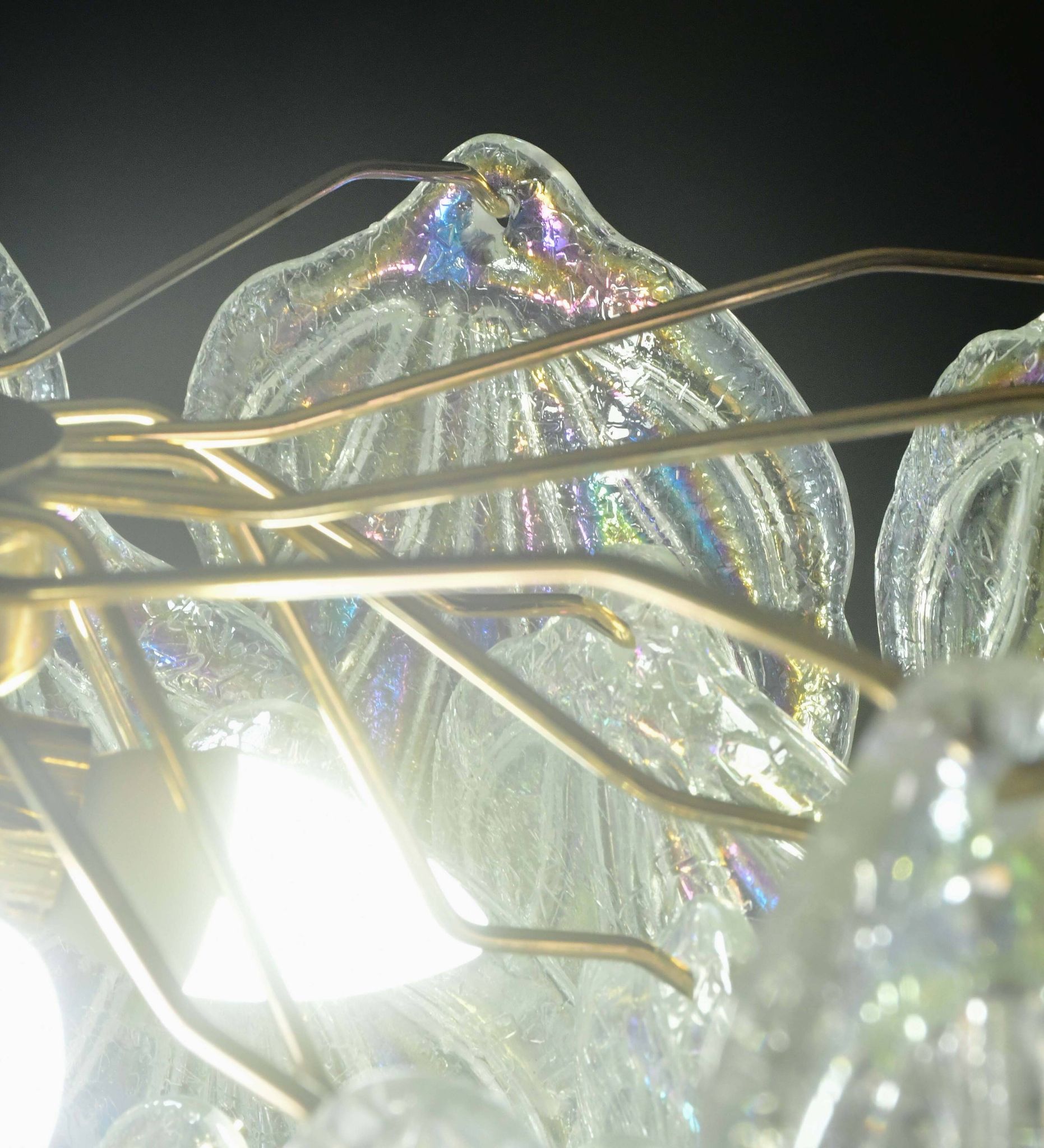 Superbe grand lustre en verre de Murano avec feuilles arc-en-ciel