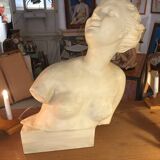 Plaster bust